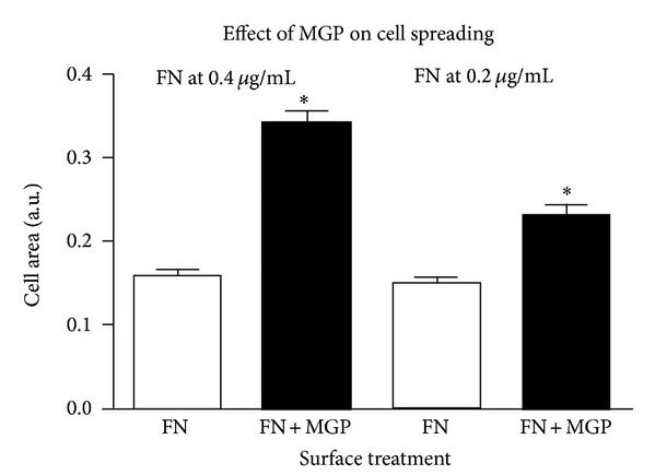 Matrix Gla Protein Binds to Fibronectin and Enhances Cell Attachment and Spreading on Fibronectin