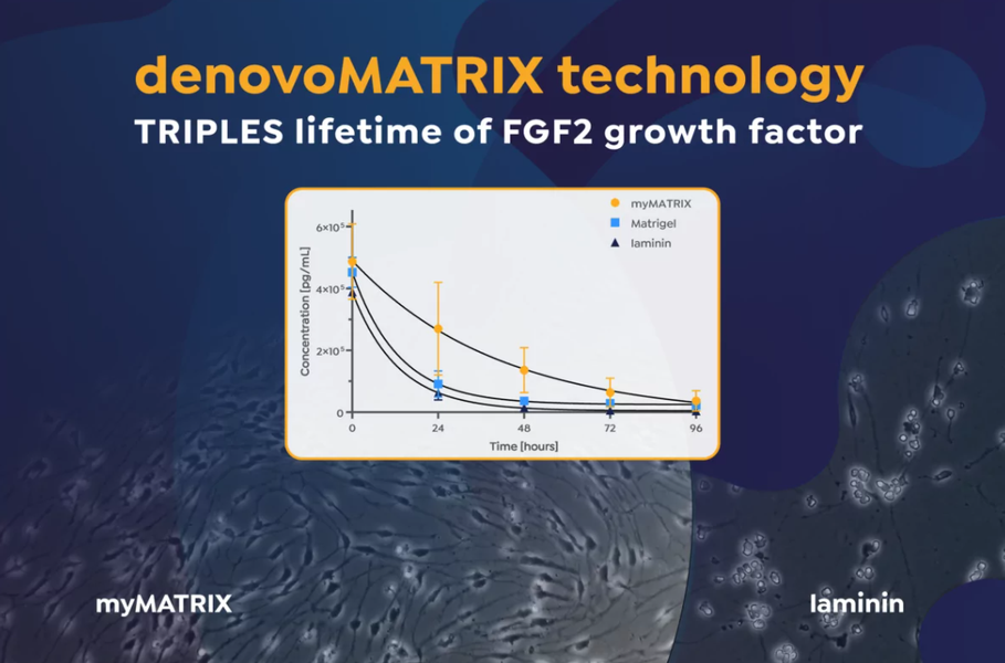 NEW Application Note: Growth factor stabilization by myMATRIX coatings