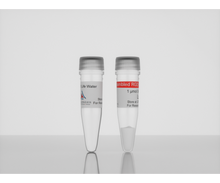 Load image into Gallery viewer, 3-D Life Scrambled RGD Peptide (1 µmol), hydrogel accessory, cat. no. 09-P-003, manufactured by Cellendes GmbH and distributed by Ilex Life Sciences LLC.
