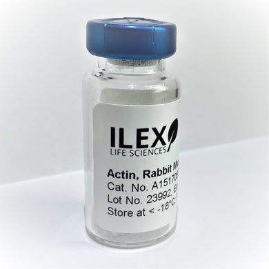 Ilex Life Sciences Actin, Alpha Skeletal Muscle, Rabbit Protein, Native