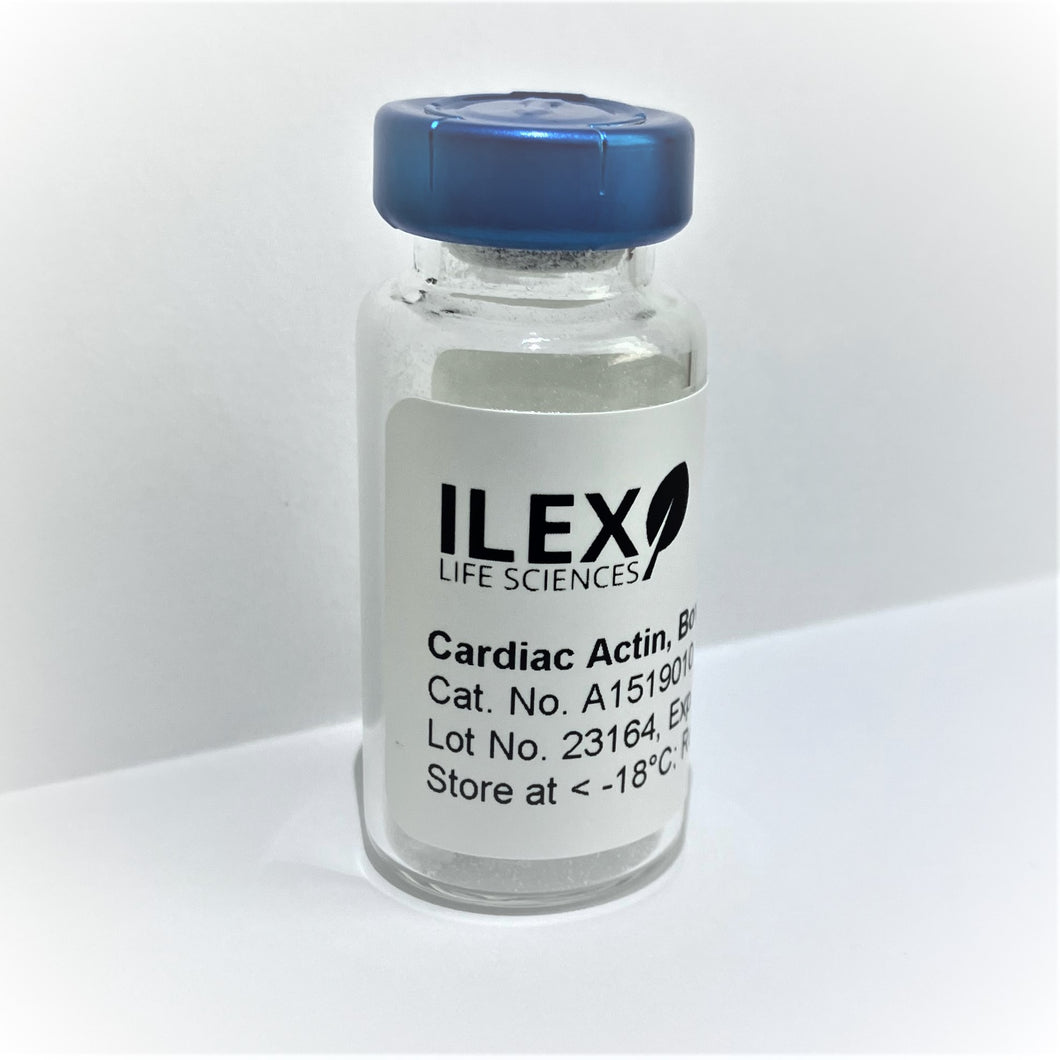 Ilex Life Sciences Actin, Alpha Cardiac Muscle 1, Native Protein (Bovine Heart)