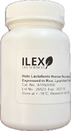 Holo Lactoferrin Human Recombinant, expressed in rice, lyophilized powder