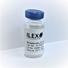 Load image into Gallery viewer, Ilex Life Sciences Streptavidin, E. coli Recombinant Protein, 1 g
