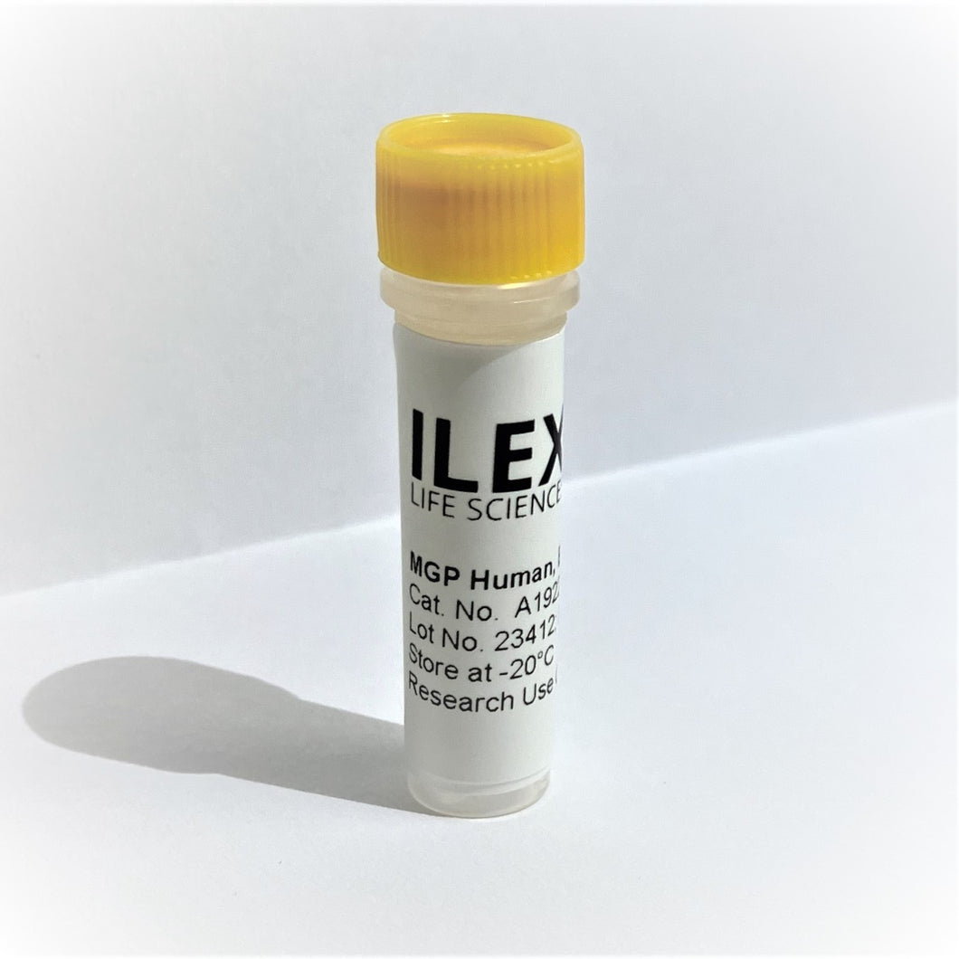 Ilex Life Sciences Matrix Gla Protein (MGP) Human, E. coli Recombinant Protein