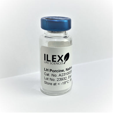 Ilex Life Sciences Luteinizing Hormone (LH) Porcine, Native Protein