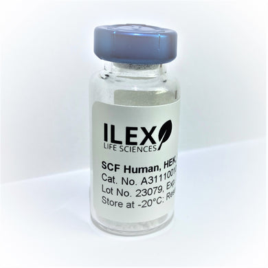 Ilex Life Sciences Stem Cell Factor (SCF) Human, HEK Recombinant Protein