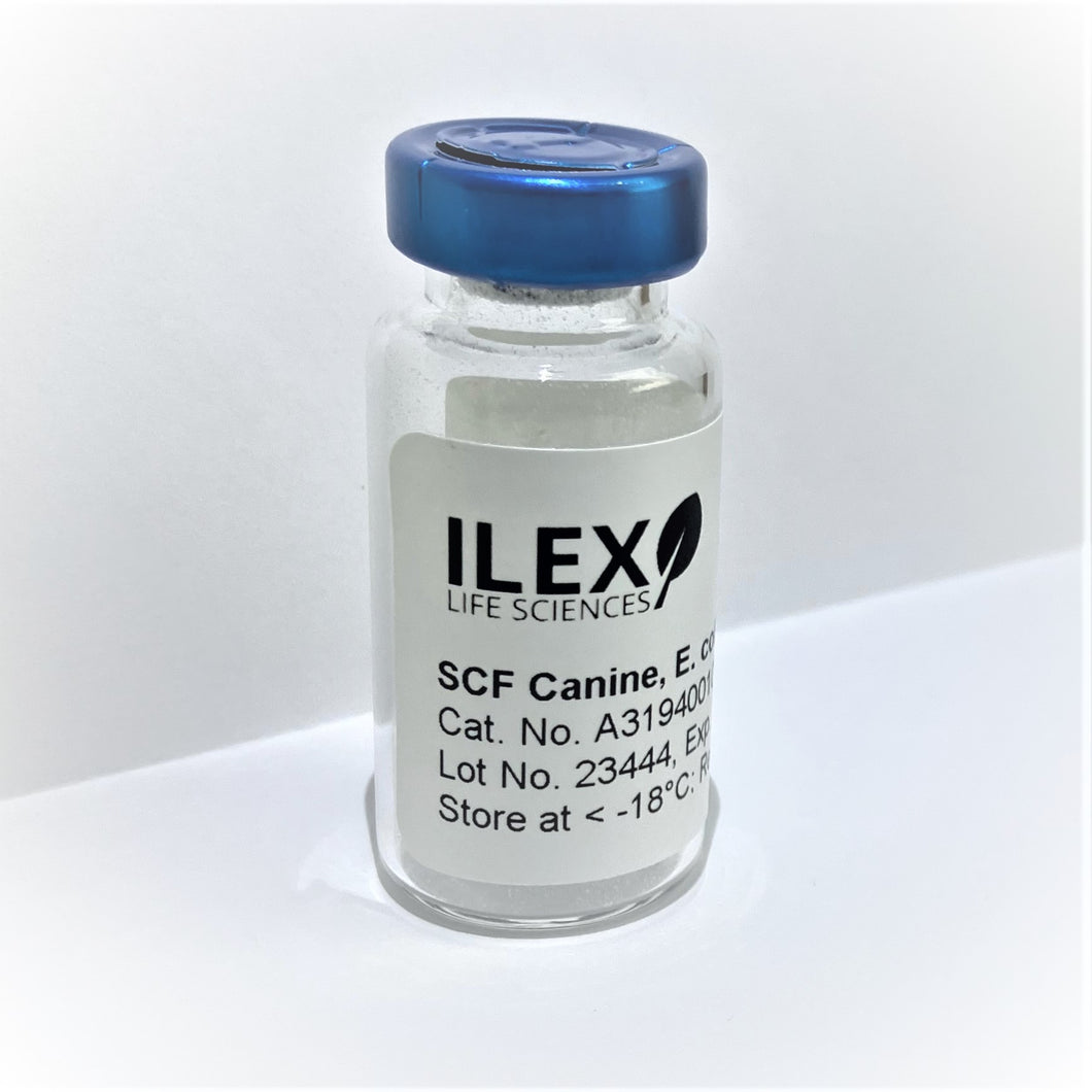 Ilex Life Sciences Stem Cell Factor (SCF) Canine, E. coli Recombinant Protein