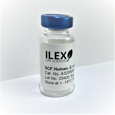 Ilex Life Sciences Stem Cell Factor (SCF) Human, E. coli Recombinant Protein