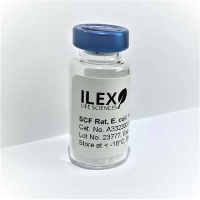 Ilex Life Sciences Stem Cell Factor (SCF) Rat, E. coli Recombinant Protein