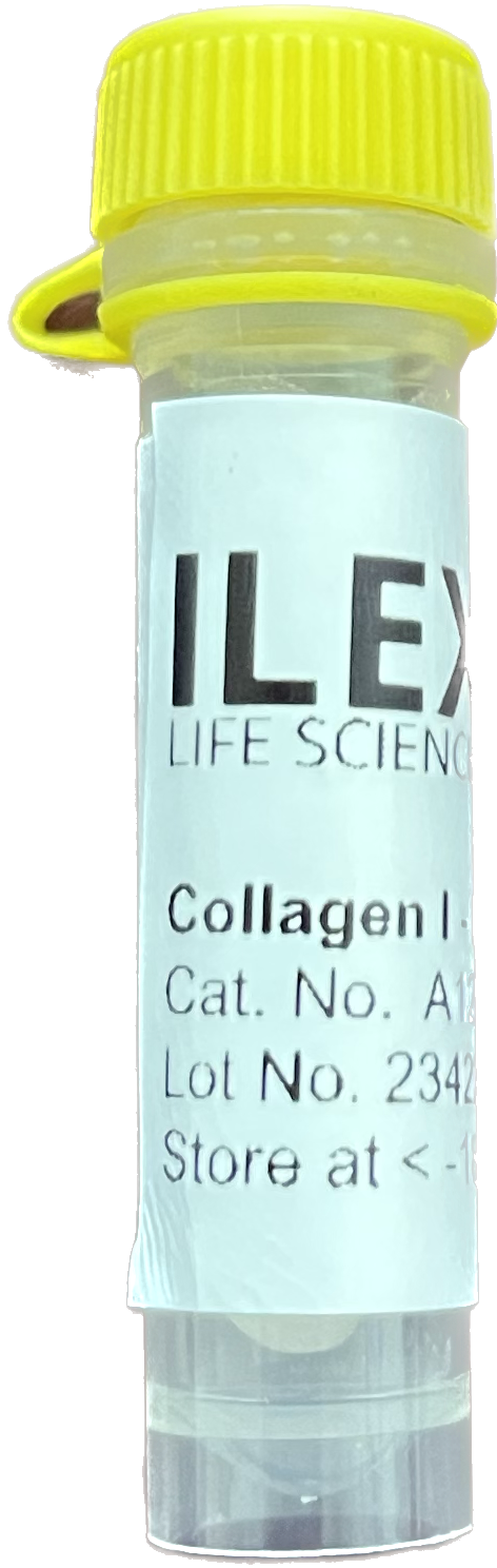 Collagen-I Protein, Mouse Tail Tendon