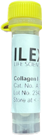 Collagen-I Protein, Mouse Tail Tendon