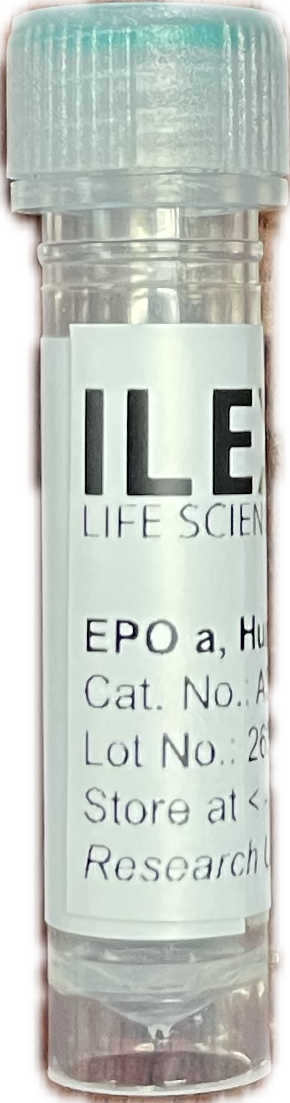 Erythropoietin Alpha (EPO) Human, CHO Recombinant Protein | Bioactive ...