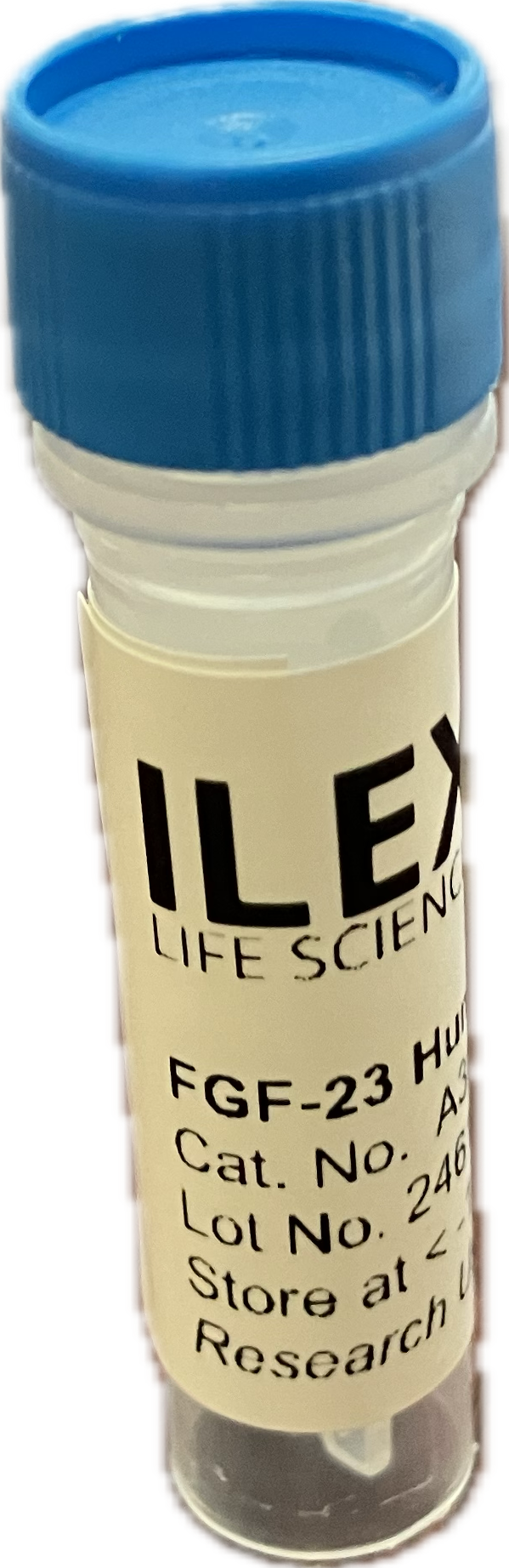 Ilex Life Sciences Fibroblast Growth Factor 23 (FGF-23) Human, E. coli Recombinant Protein