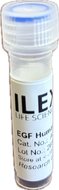 Ilex Life Sciences Epidermal Growth Factor (EGF) Human, E. coli Recombinant Protein