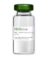 ISOkine® KGF (FGF-7) Human, Animal-Free Recombinant Protein, cat. no. IK0600, manufactured by ORF Genetics and distributed by Ilex Life Sciences.