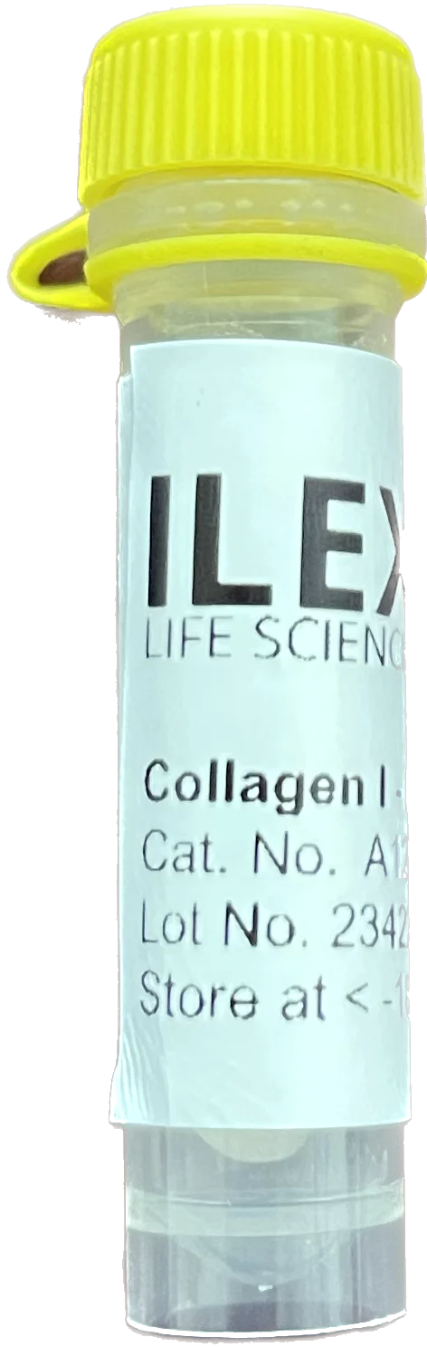 Ilex Life Sciences Collagen-I (Type I Collagen) Purified Protein, Bovine Skin