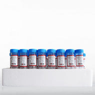 P04-60225: PAN-Biotech Pancoll Human: Lymphocyte Separating Medium, Density 1.077 g/ml, 50 x 10 ml tube filled with 3 ml Pancoll