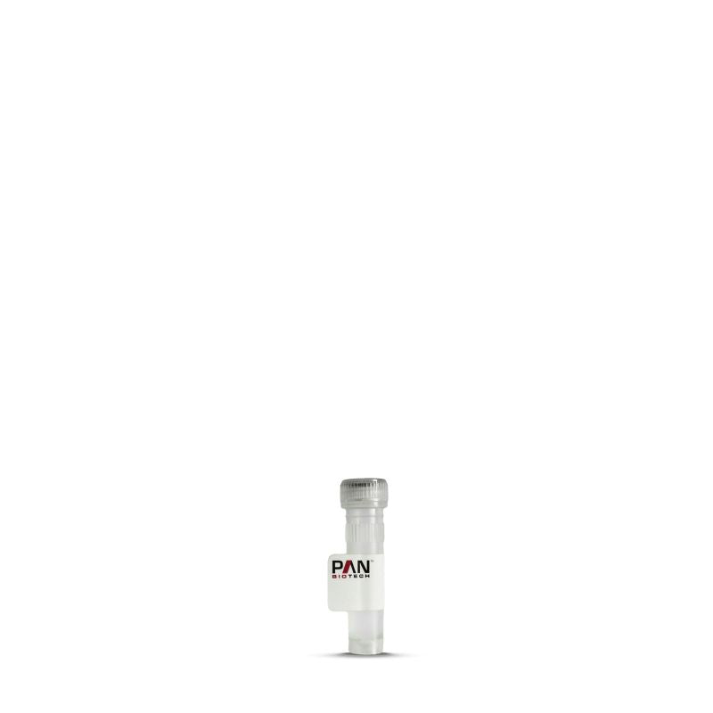 PAN-Biotech Phytohemagglutinin-L (PHA-L) from Phaseolus vulgaris, Lyophilized, 2 mg vial, cat. no. P05-01011M, distributed by Ilex Life Sciences.