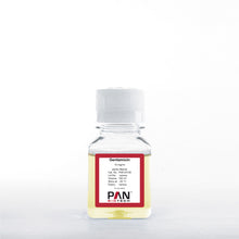 Load image into Gallery viewer, PAN-Biotech Gentamicin Sulfate Solution, 10 mg/ml, 100 ml bottle, cat. no. P06-03100, distributed by Ilex Life Sciences.
