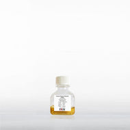PAN-Biotech Human Serum Albumin (HSA), 20% Solution, Premium Grade, US Origin, 20 ml bottle, cell culture media supplement, cat. no. P06-27020, distributed by Ilex Life Sciences.
