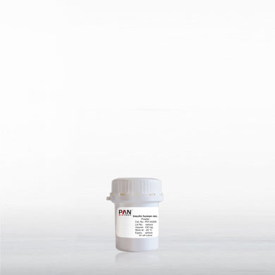PAN-Biotech Recombinant Human Insulin Powder, 100 mg, cell culture media supplement, cat. no. P07-04200, distributed by Ilex Life Sciences.