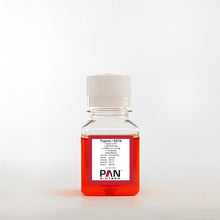 Load image into Gallery viewer, PAN-Biotech Trypsin 0.25% / 1 mM EDTA 4 Na in HBSS, w/o: Ca and Mg, w: Phenol Red, 100 ml bottle, cat. no. P10-029100, distributed by Ilex Life Sciences LLC
