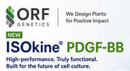 Promotional graphic for ORF Genetics ISOkine PDGF-BB, featuring the ORF Genetics logo, the text 'We Design Plants for Positive Impact,' a green 'NEW' badge, and large blue and green product name text on a white background.