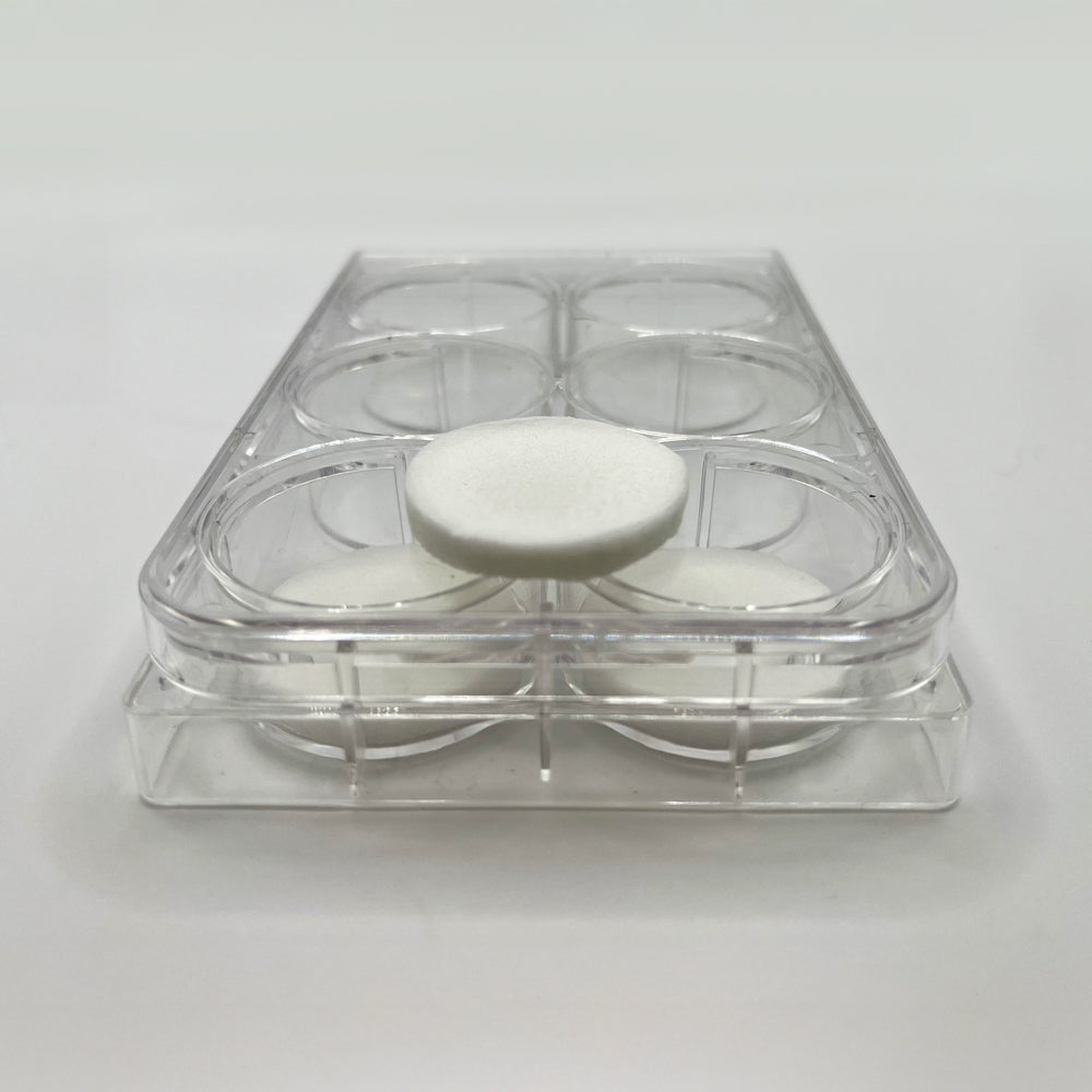 Nexture Bio Animal-Component-Free Plant-Based Sponge Scaffolds for 6-well plate 3D Cell Culture, distributed by Ilex Life Sciences LLC.