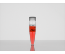 Load image into Gallery viewer, 3-D Life 10x CB Buffer (pH 7.2), hydrogel accesory, cat. no. B20-3, manufactured by Cellendes GmbH and distributed by Ilex Life Sciences.
