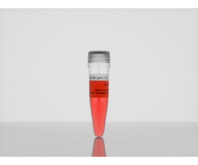 3-D Life 10x CB Buffer (pH 7.2), hydrogel accesory, cat. no. B20-3, manufactured by Cellendes GmbH and distributed by Ilex Life Sciences.