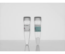 Load image into Gallery viewer, 3-D Life CD-HyLink Hydrogel Component (200 ul vial), crosslinker for cell-degradable hyaluronic acid hydrogels, cat. no. L80-1, manufactured by Cellendes GmbH and distributed by Ilex Life Sciences LLC.
