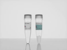 Load image into Gallery viewer, 3-D Life CD-HyLink Hydrogel Component (200 ul vial), crosslinker for cell-degradable hyaluronic acid hydrogels, cat. no. L80-1, manufactured by Cellendes GmbH and distributed by Ilex Life Sciences LLC.
