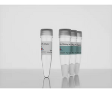 Load image into Gallery viewer, 3-D Life CD-HyLink Hydrogel Component (3 x 200 ul vial), crosslinker for cell-degradable hyaluronic acid hydrogels, cat. no. L80-3, manufactured by Cellendes GmbH and distributed by Ilex Life Sciences LLC.
