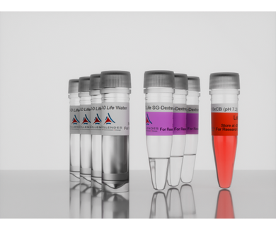 3-D Life SG-Dextran Hydrogel Component (3 x 170 µl), hydrogel polymer, cat. no. M91-3, manufactured by Cellendes GmbH and distributed by Ilex Life Sciences LLC.