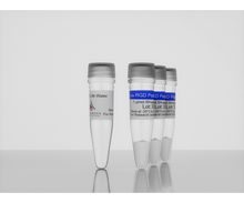 Load image into Gallery viewer, 3-D Life RGD Peptide (3 x 1 µmol), hydrogel cell-adhesion peptide, cat. no. P10-3, manufactured by Cellendes GmbH and distributed by Ilex Life Sciences LLC.
