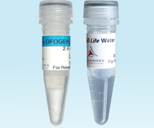 Load image into Gallery viewer, 3-D Life GFOGER-3 Peptide, 2.4 mg, cat. no. P12-1, manufactured by Cellendes GmbH and distributed by Ilex Life Sciences LLC.
