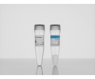 3-D Life GFOGER-3 Peptide, 2.4 mg, cat. no. P12-1, manufactured by Cellendes GmbH and distributed by Ilex Life Sciences LLC.