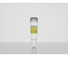 Load image into Gallery viewer, 3-D Life Thioglycerol, hydrogel accessory, cat. no. T10-3, manufactured by Cellendes GmbH and distributed by Ilex Life Sciences LLC.
