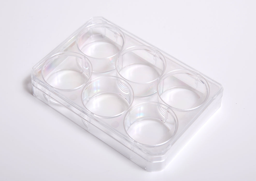 6 well cell culture plate