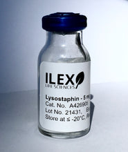 Load image into Gallery viewer, Ilex Life Sciences Lysostaphin, E. coli Recombinant Protein, 5 mg
